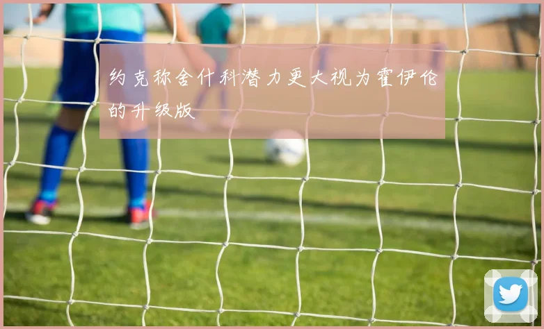 约克称舍什科潜力更大视为霍伊伦的升级版