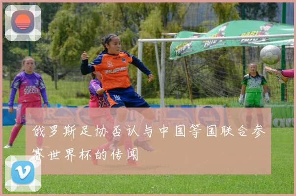 俄罗斯足协否认与中国等国联合参赛世界杯的传闻