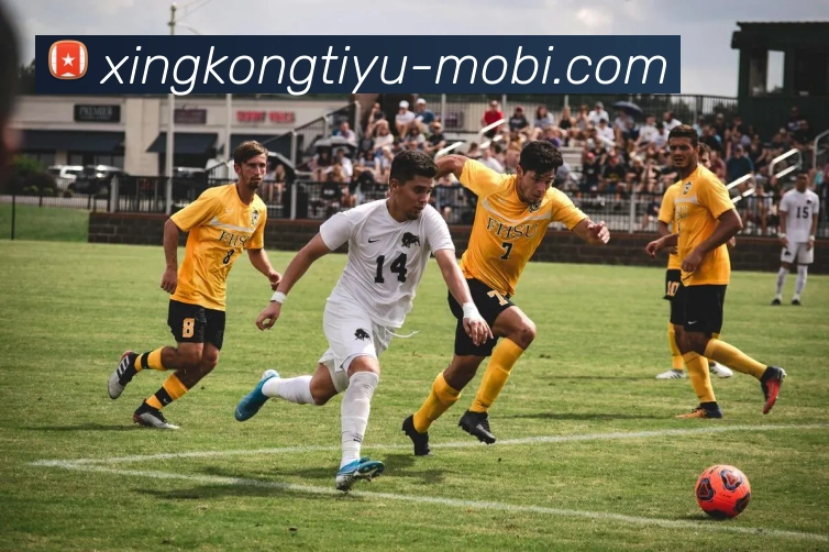 星空体育APP 封面图